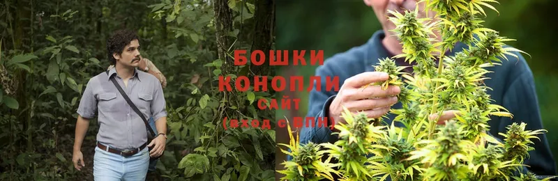 ссылка на мегу вход  купить закладку  Нестеров  Конопля LSD WEED 